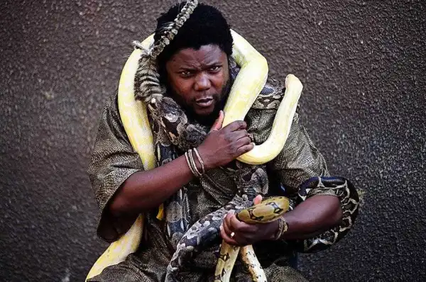 Meet the African 